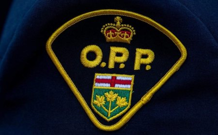 OPP officer charged with assault after North York traffic stop