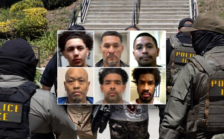 FIRST ON FOX: DHS points to ‘common sense’ reason for collapsing crime: ‘No surprise’