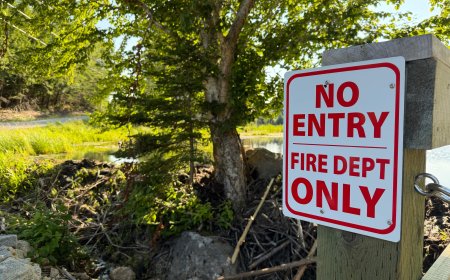 Beavers and a Tim’s card: a very Canadian solution to a firefighting challenge