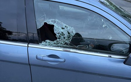 Nanaimo bar owner says she is fed up with city’s crime after daughter’s car targeted