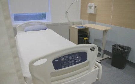 Sections of B.C.’s involuntary care rules found unconstitutional