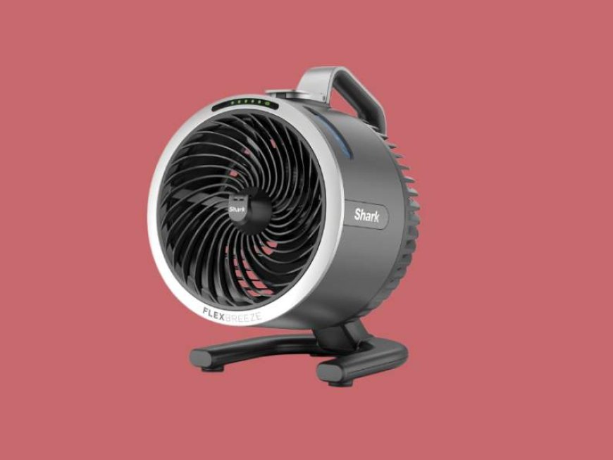 Best cooling fans of 2026: Top picks for a cool, comfortable home