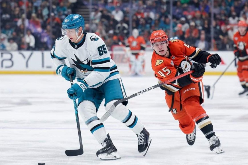 Oilers sign d-men Mukhamadullin, Statsney