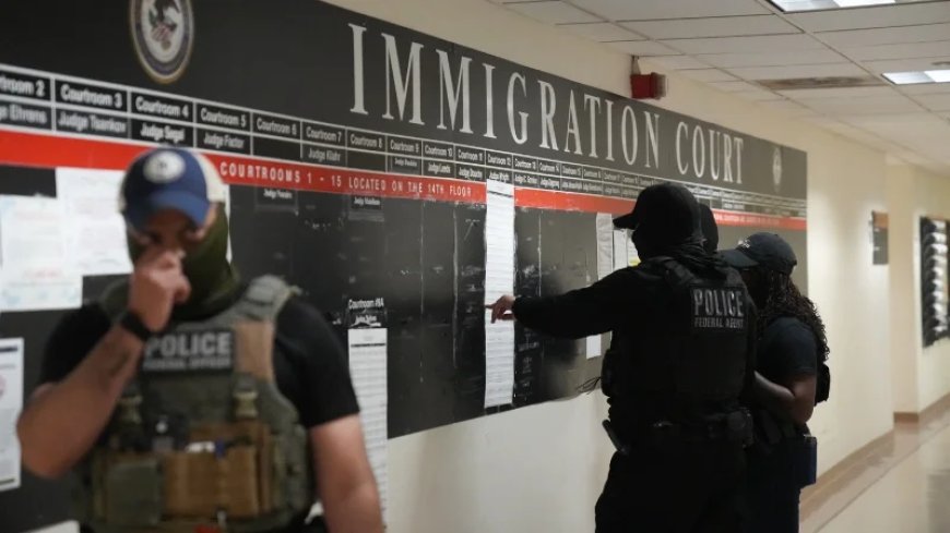 Pump Up Those Numbers: Immigration Arrests Are Starting To Head in the Right Direction—Finally