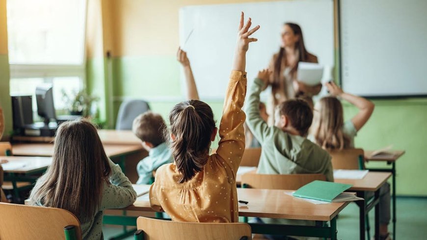 Explosive report finds $225M in alleged K-12 education fraud amid Trump's crackdown: 'Especially hideous'