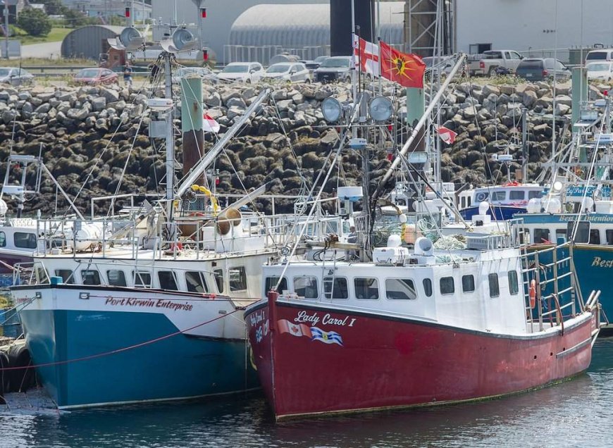 Indigenous lobster fishing: N.S. judge says dispute must be handled by Ottawa