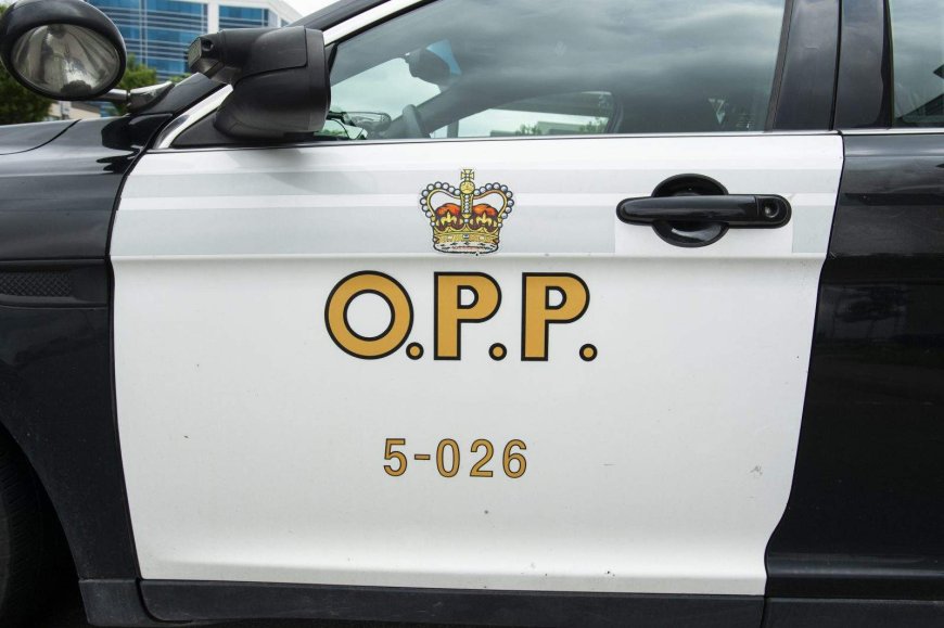 Driver clocked at nearly 200 km/h on Ontario highway: OPP