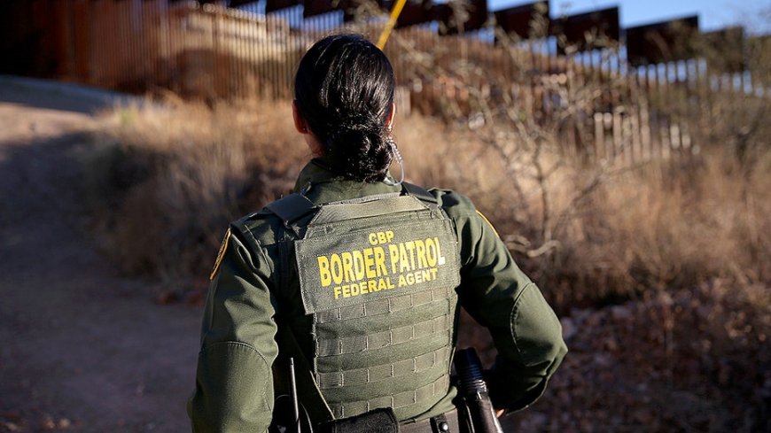 Border officers crack open cabbage shipment hiding multimillion-dollar secret at Texas border