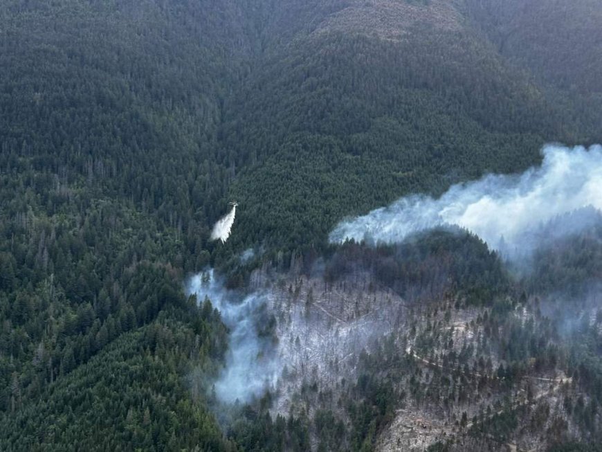 B.C. Wildfire Service calls for compliance amid reports of speeding and drone flights