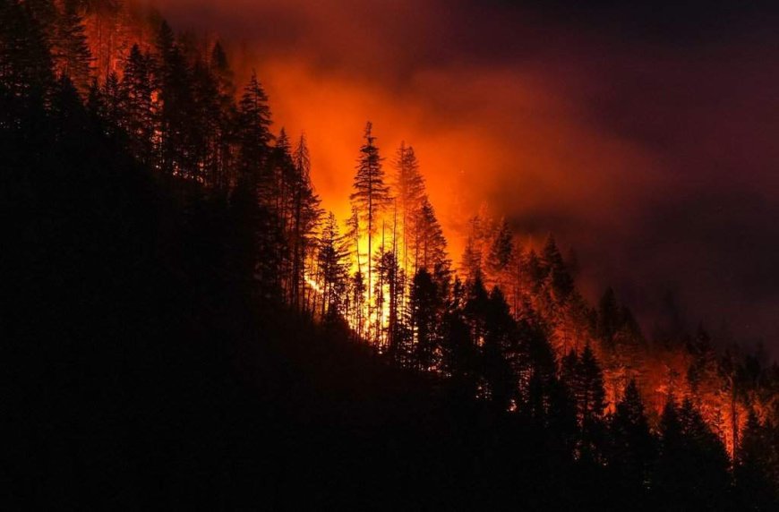 Wildfires force new evacuation order for Boston Bar area