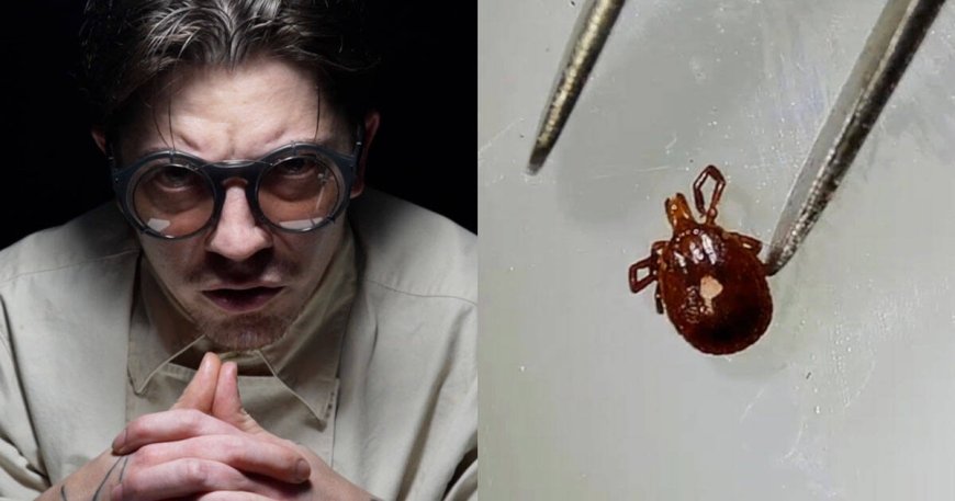 Fears Grow That Rapidly Spreading Meat-Allergy Tick Is Genetically Engineered Bioweapon
