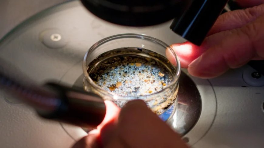 Heart Attack Patients Have More Microplastics in Their Blood