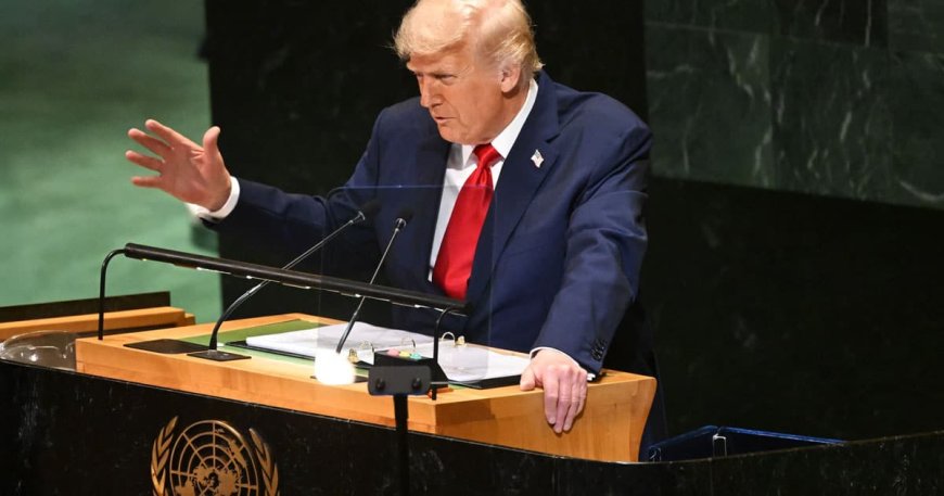 Trump Cuts $1 Billion in Funding from United Nations