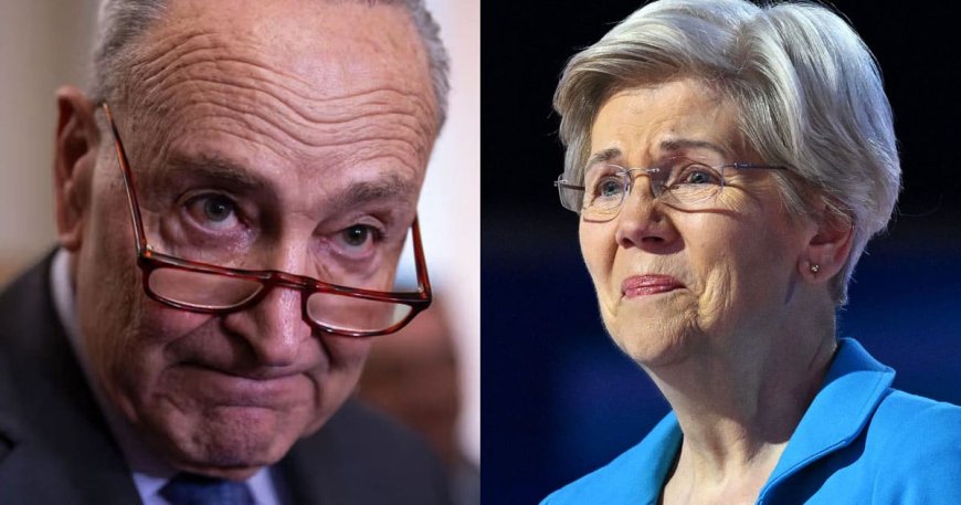 Democrat Civil War Erupts as Warren and Schumer Back Rival Michigan Senate Candidates