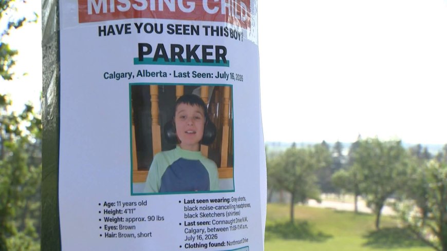 Mother calling for ‘indigo alerts’ amid search for Calgary boy with autism