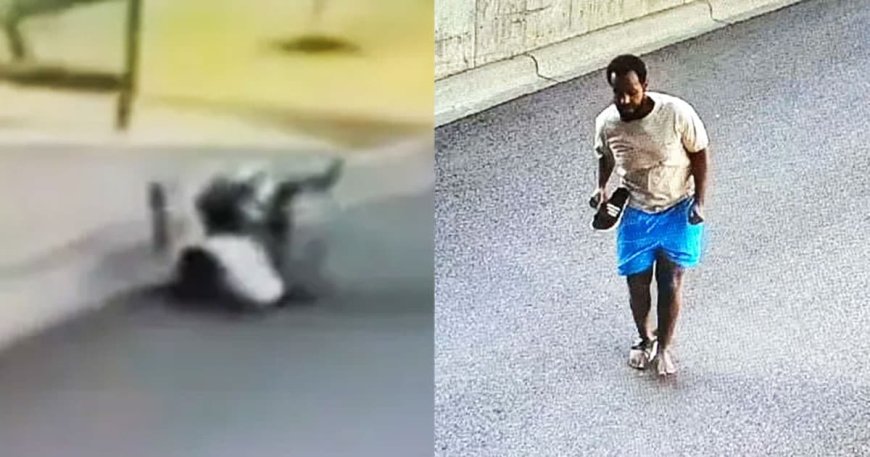 Somali Fraudster Pleads Guilty to Stealing Millions from Taxpayers After Jumping from Building to Evade Arrest