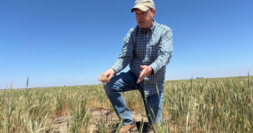Top Economists Warn of Looming Financial Collapse, Global Famine