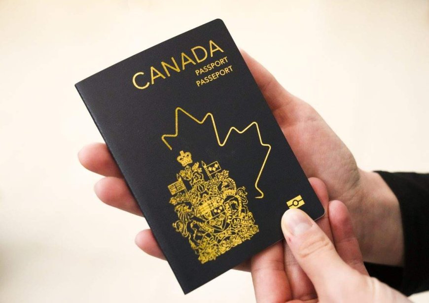 Online passport renewals now open for Canadians ‘whenever it is convenient’