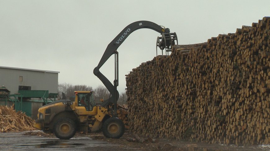 New U.S. tariffs could devastate some New Brunswick communities, small businesses