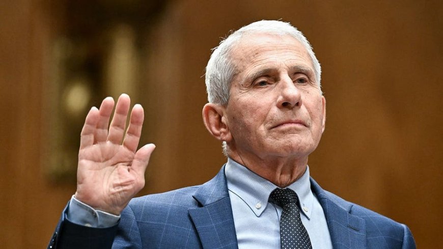 Moms for Liberty co-founder rips Fauci after Fifth Amendment plea, 'America deserves an apology'