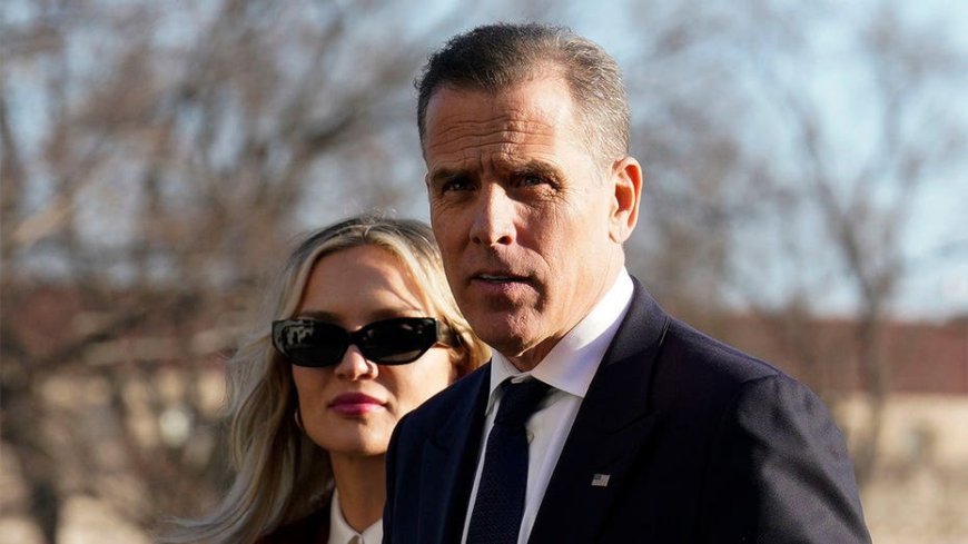 Hunter Biden reveals he's 'definitely not running' for office despite media tour
