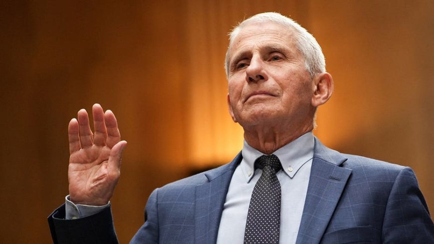 Online fury erupts as conservatives recall ’insane’ COVID-19 lockdown policies after Fauci takes the Fifth