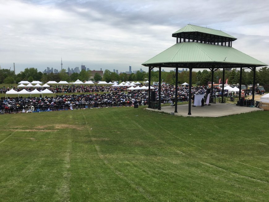 Afrofest 2026 cancelled due to capacity concerns