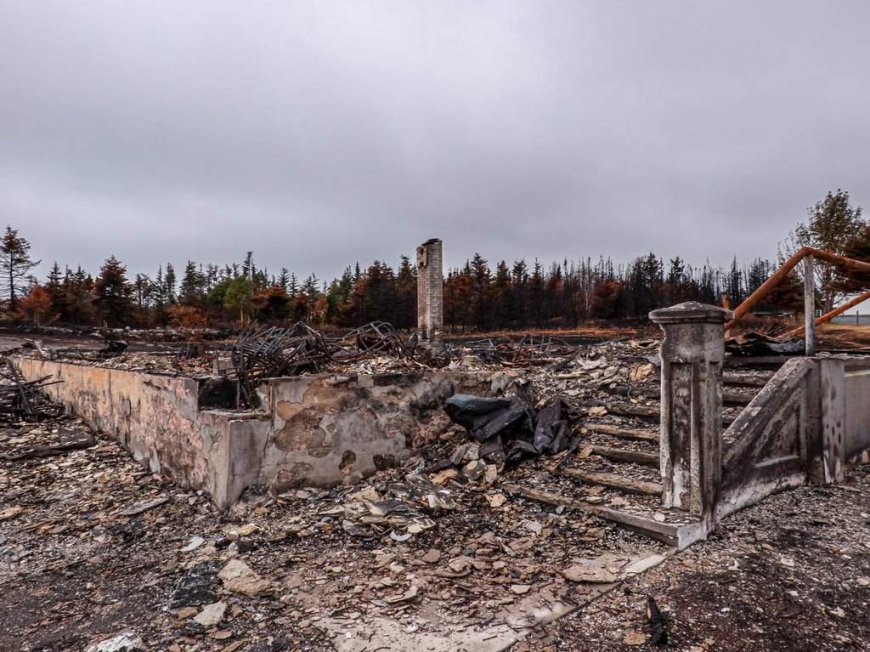 Devastating 2025 N.L. wildfire was suspicious and police are appealing for witnesses