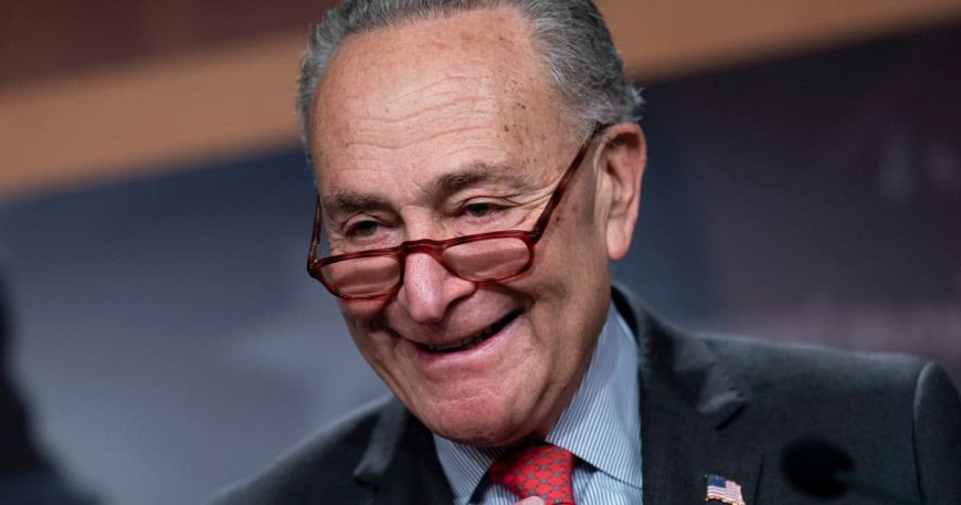 Chuck Schumer Unveils Bill to Create Powerful New Federal Agency to Investigate Trump