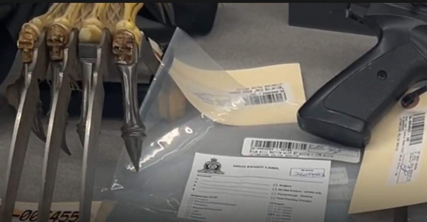 Hundreds of weapons seized during Lethbridge drug trafficking investigation