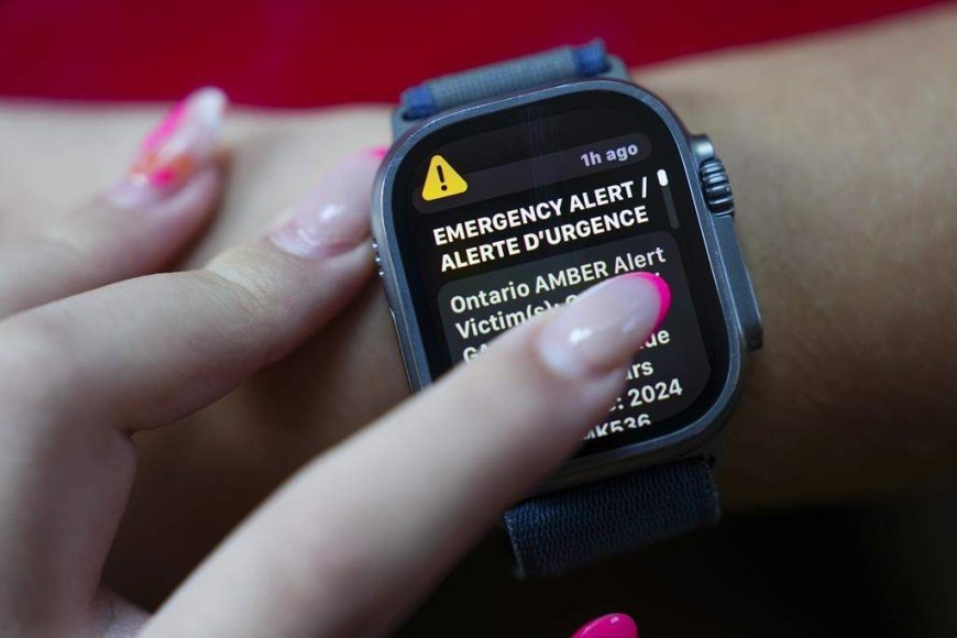 New Brunswick advocates join call for emergency alerts for vulnerable missing people