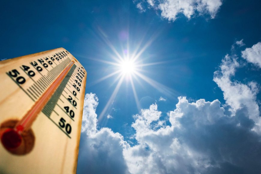 Heat warnings issued for cities of Calgary, Medicine Hat