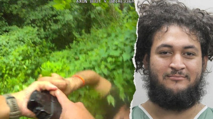 ICE lodges detainer for illegal immigrant accused of trying to disarm Virginia police officer