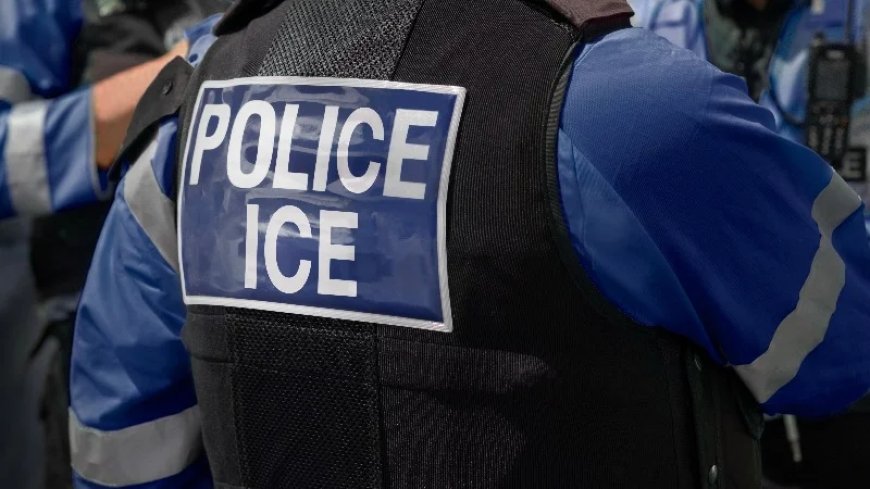 ICE Leadership Caught Arresting Some Illegals And RELEASING Other Potential Illegals WITHOUT Checking