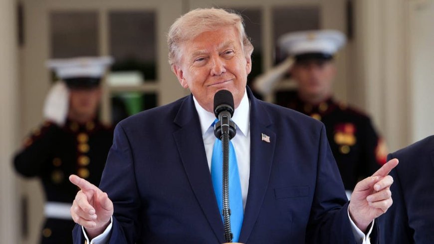 Army veteran raves over Trump’s plan to ditch illegal alien truck drivers and hire vets