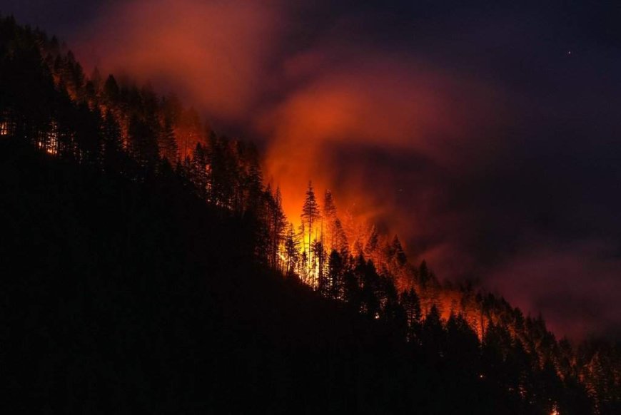 B.C. firefighters face critical days as dry fuels and winds increase fire risks