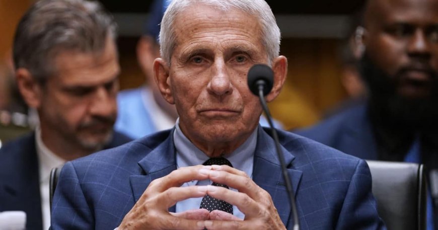 CNN Legal Analyst: Fauci Hurt Himself by Pleading the Fifth More Than 100 Times