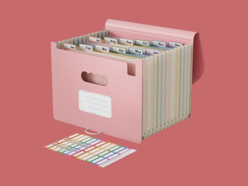 The Curator: The best back-to-school organization products for a clutter-free home