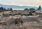 Photos show Bradley Creek wildfire destruction as resident describes losing everything