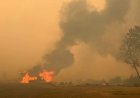 Massive Pear Lake wildfire devastates Clinton ranch as owner fights flames