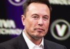 Elon Musk Vows to ‘Finish’ Radical Leftists After Mamdani Volunteer Calls Him a ‘Valid Military Target’