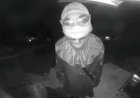 Teen dressed as clown in doorbell videos has been detained for homicide