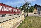 Winnipeg shelters see increase in pet surrenders due to high vet costs