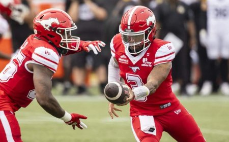 Adams Jr. leads Stampeders past Tiger-Cats 44-20
