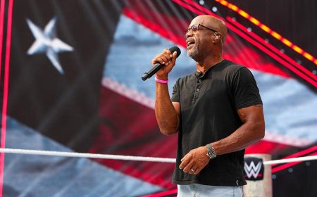 Darius Rucker sets tone for WWE SummerSlam with national anthem performance in Minneapolis