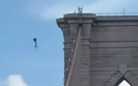 Shock Video: Naked Lunatic Jumps Off Brooklyn Bridge After Planting Flags