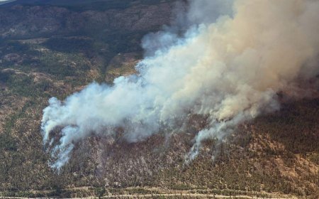 Okanagan wildfires force more evacuation orders as First Nation assesses losses