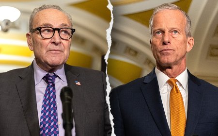 Democrats blink as Schumer helps GOP clear key shutdown hurdle