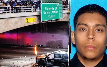 Illegal immigrant who helped torch CHP cruiser during LA anti-ICE riot learns his fate