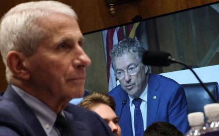 Rand Paul Announces Senate Committee to Hold Contempt Vote on Fauci This Week